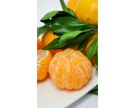 Korzyści z mandarynek i ich wpływ na organizm