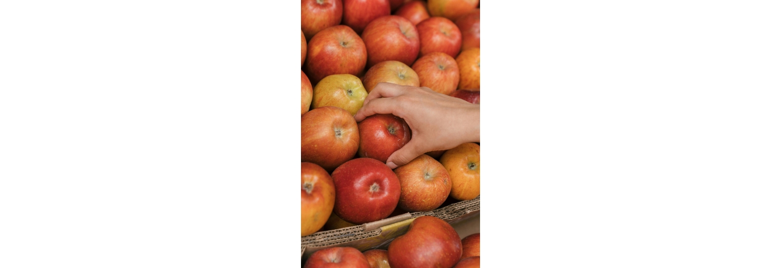 Jakie odmiany jabłek najlepiej nadają się do świeżo wyciskanych soków