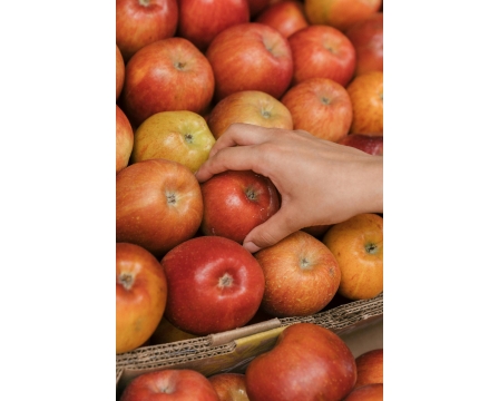 Jakie odmiany jabłek najlepiej nadają się do świeżo wyciskanych soków