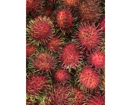 Rambutan: Królewski owoc z tropików