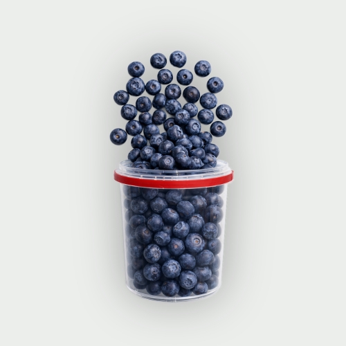 Borówka amerykańska