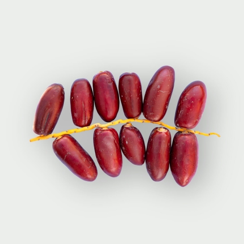 Świeże Czerwone Daktyle Balah
