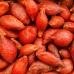 Red Salacca Salak