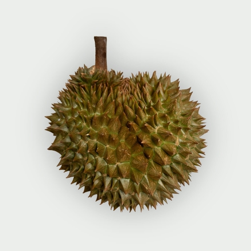 Durian 