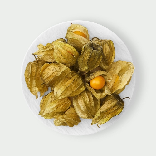 Physalis (Miechunka)