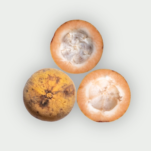Santol