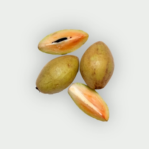 Sapodilla