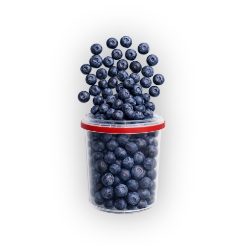 Borówka amerykańska