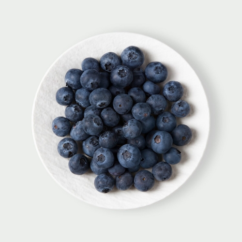 Borówka amerykańska