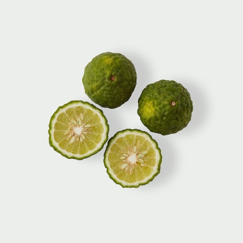 Kaffir Lime