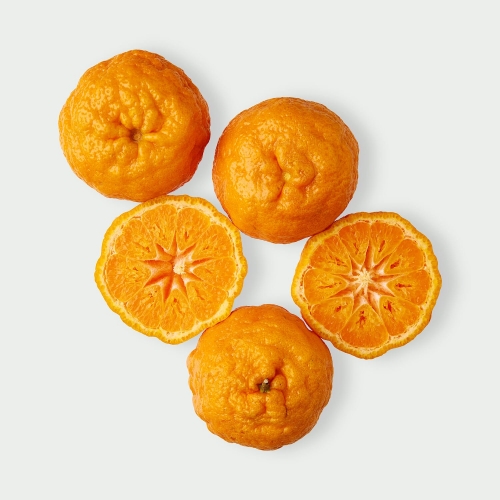 Mandarynka Gold Nugget