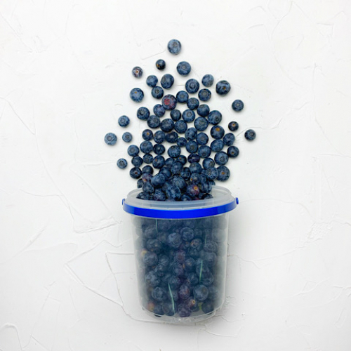 Borówka amerykańska