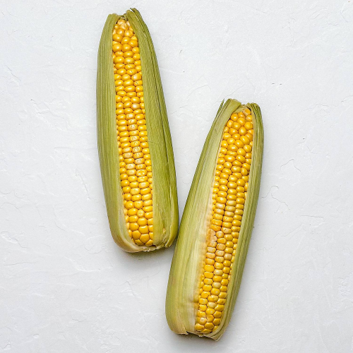 Kukurydza 