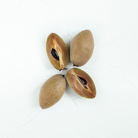 Sapodilla