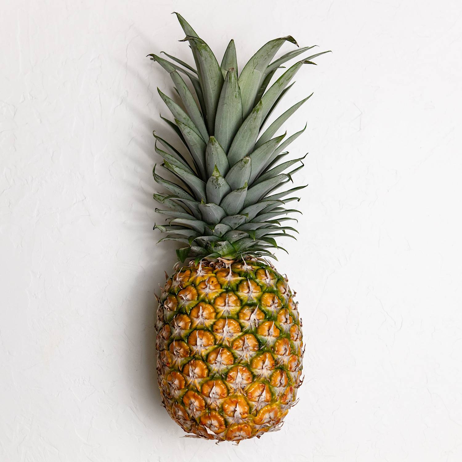 Ananas królewski