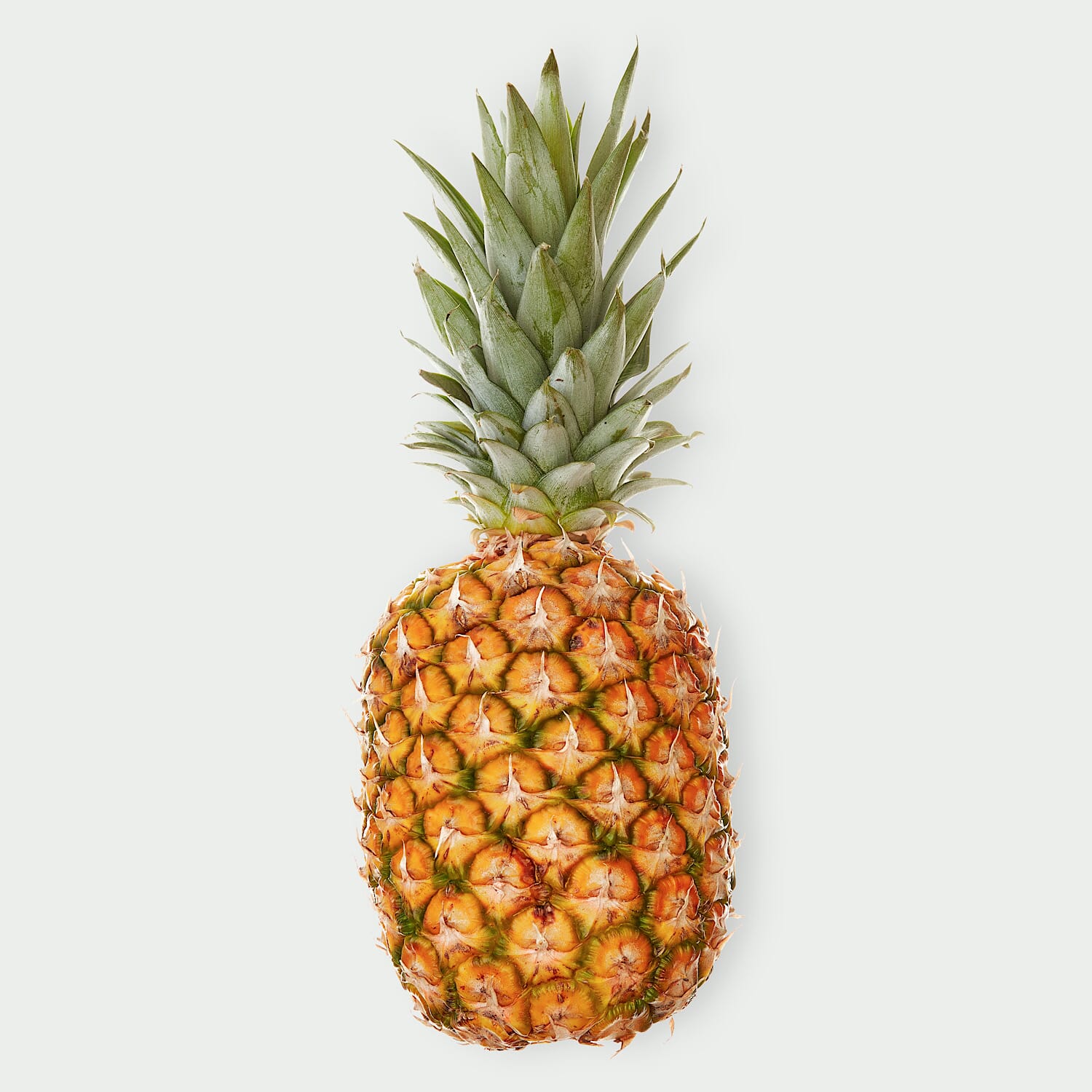 Ananas Gold