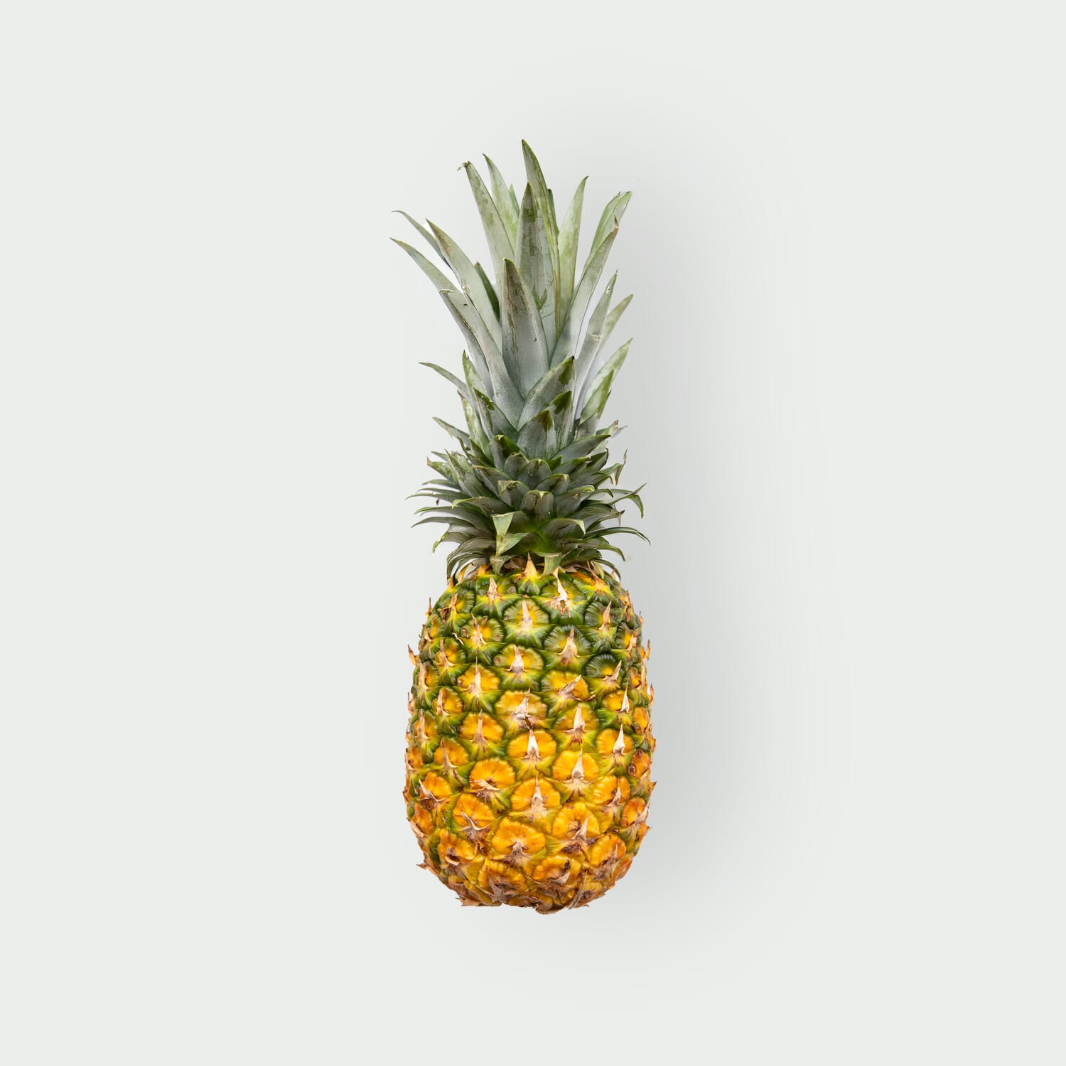 Ananas Gold