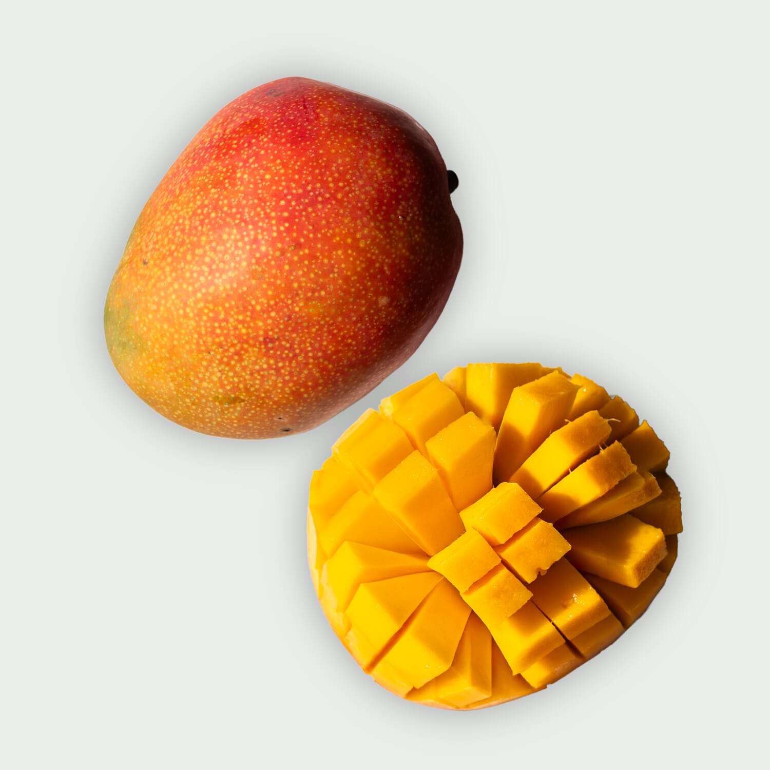 Duże mango królewskie, Kent (Peru)