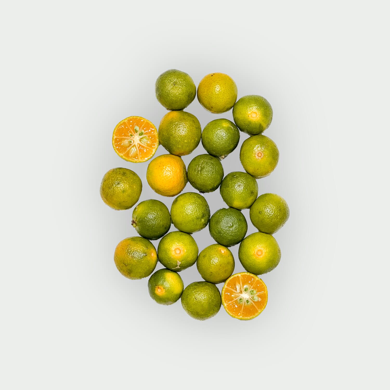 Kalamondin