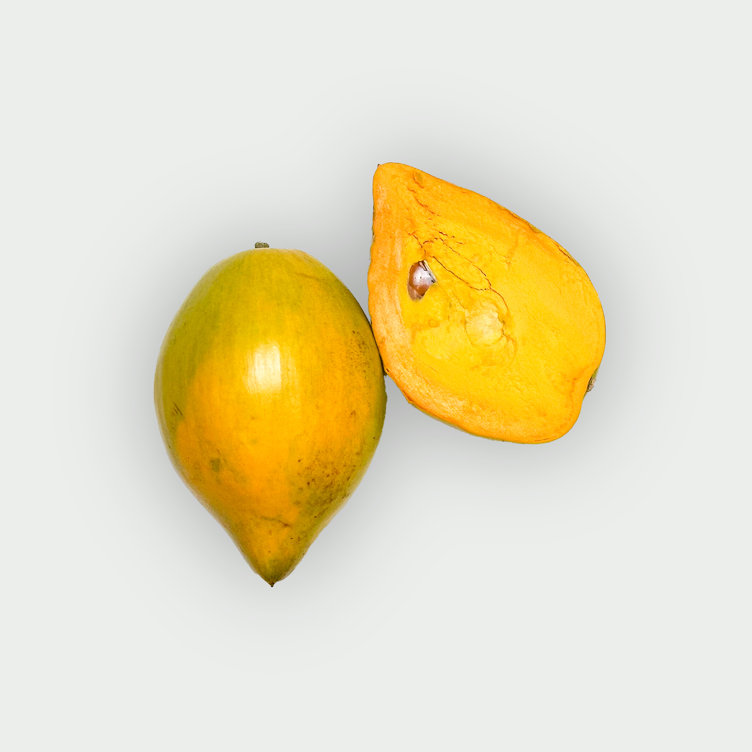 Lucuma