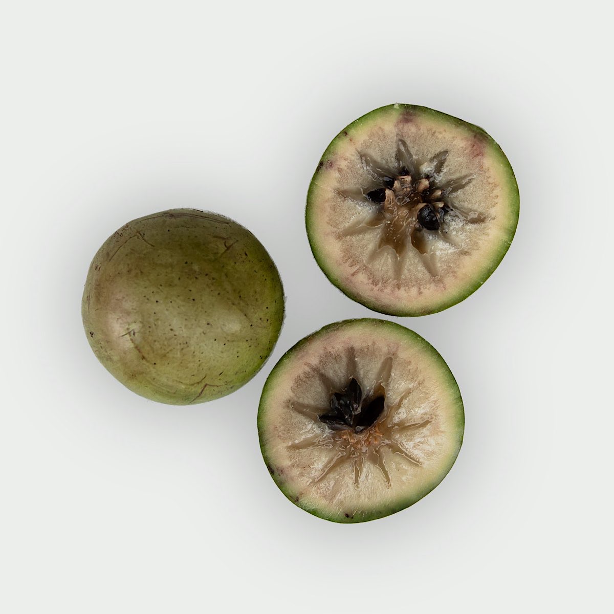 Mleczny owoc (gwiezdne jabłko)