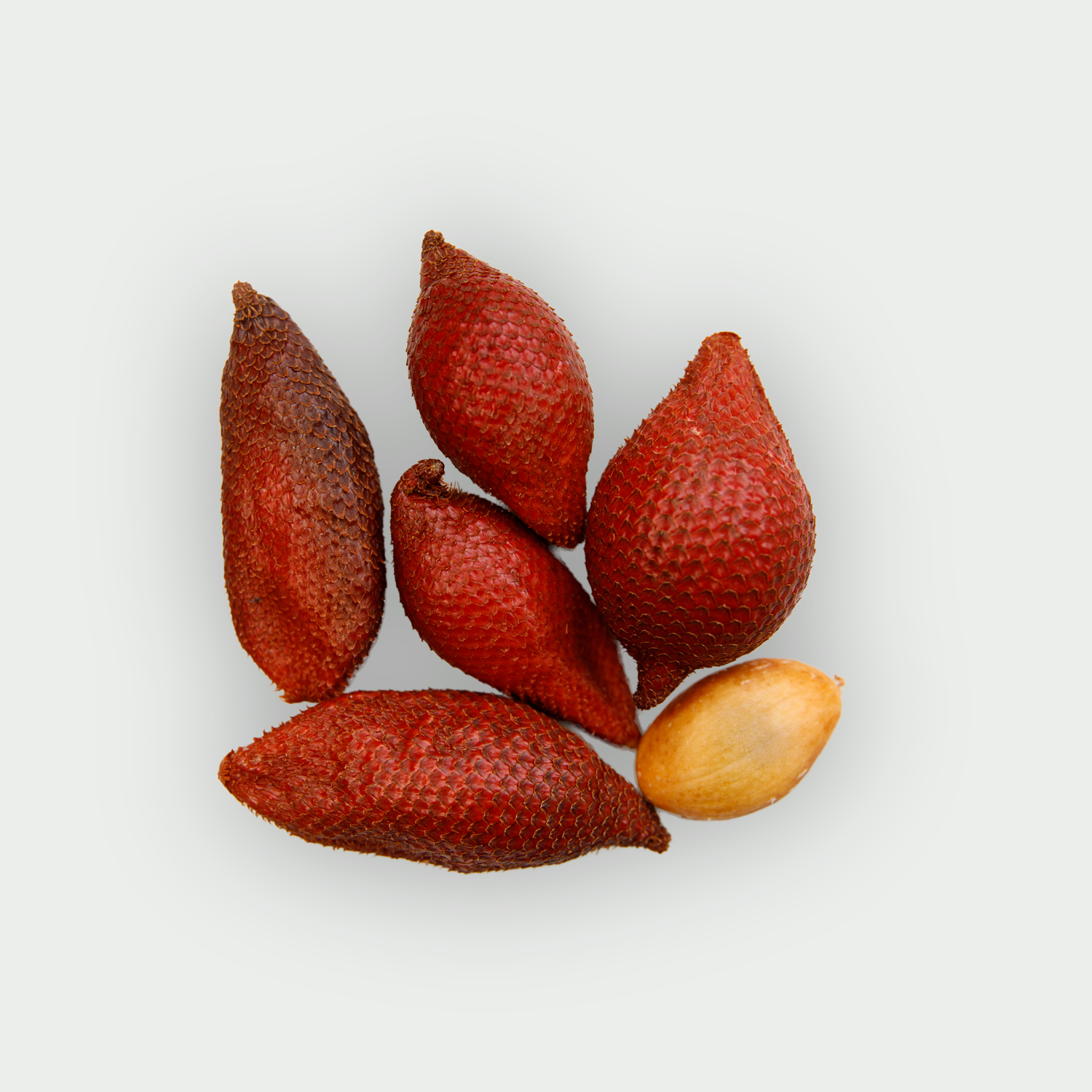 Red Salacca Salak