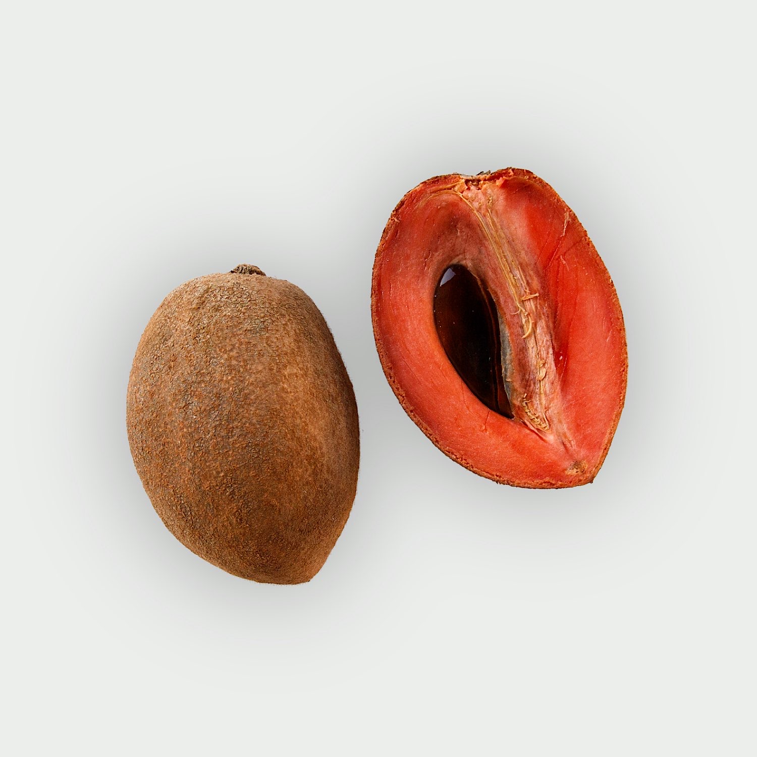 Mamey Sapote
