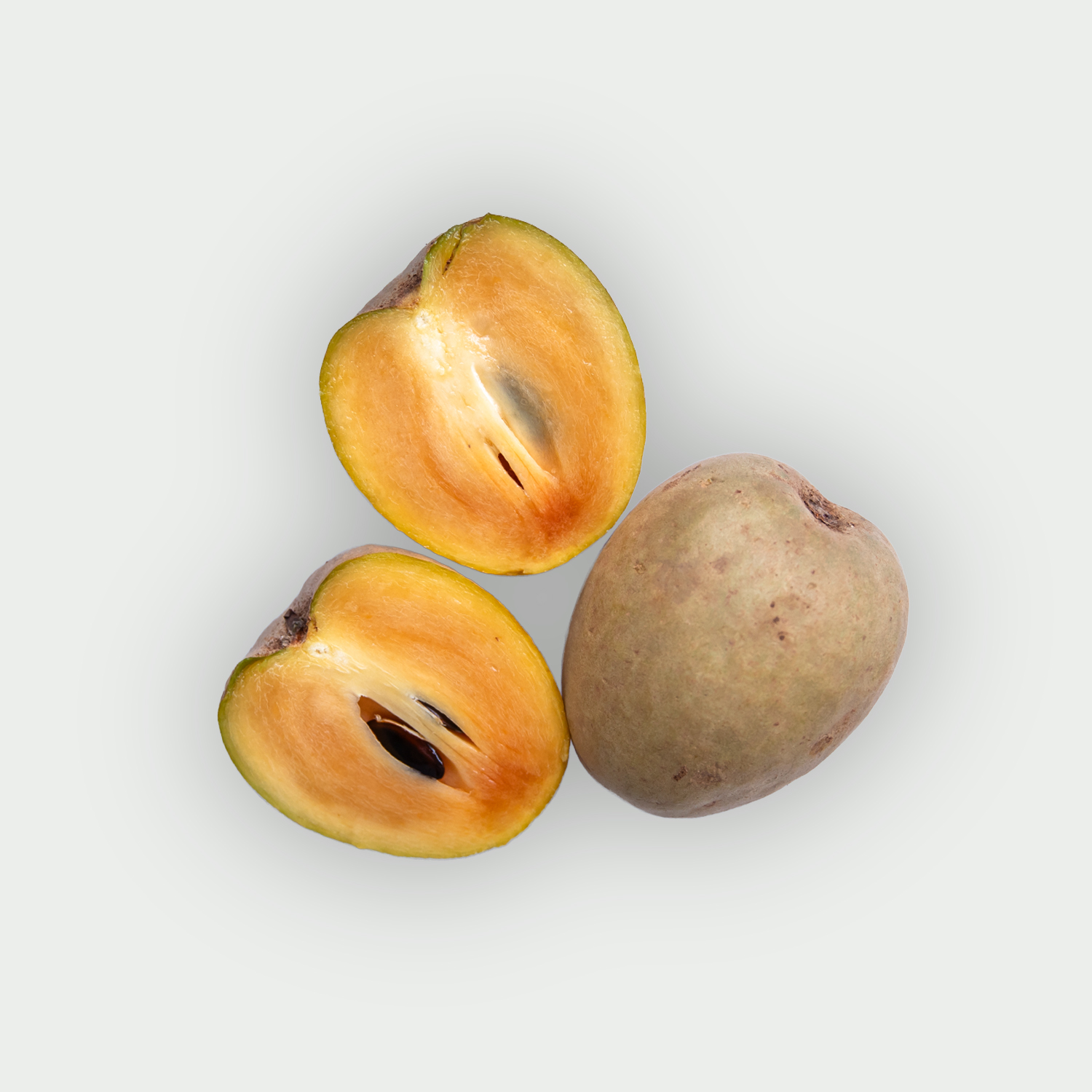 Sapodilla
