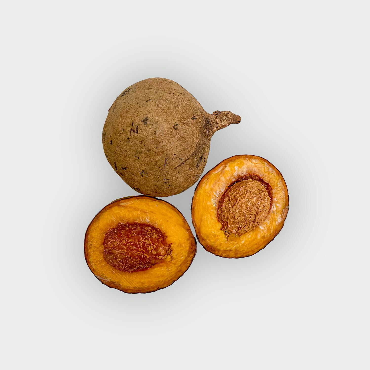 Sapote 