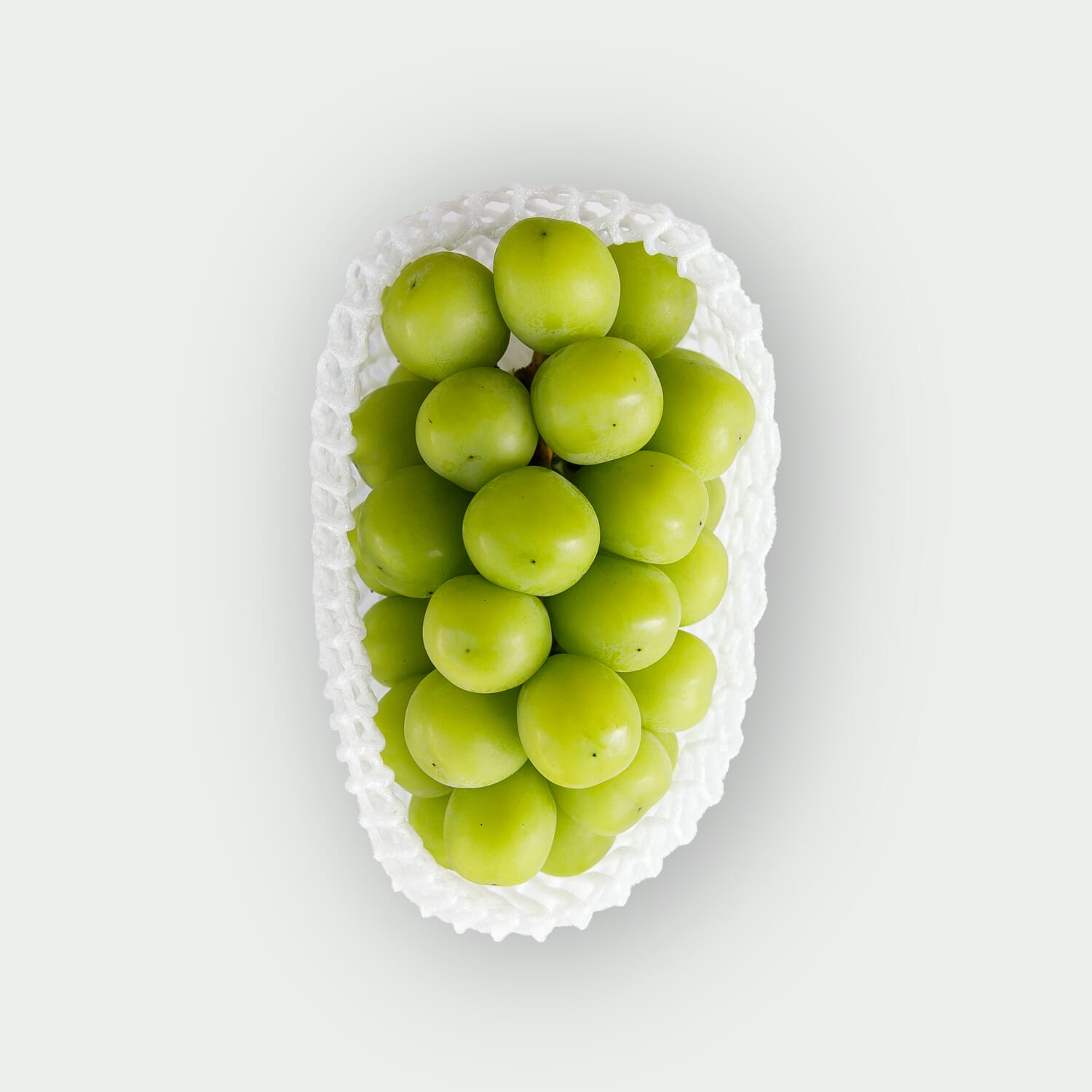 Winogrona Shine Muscat 