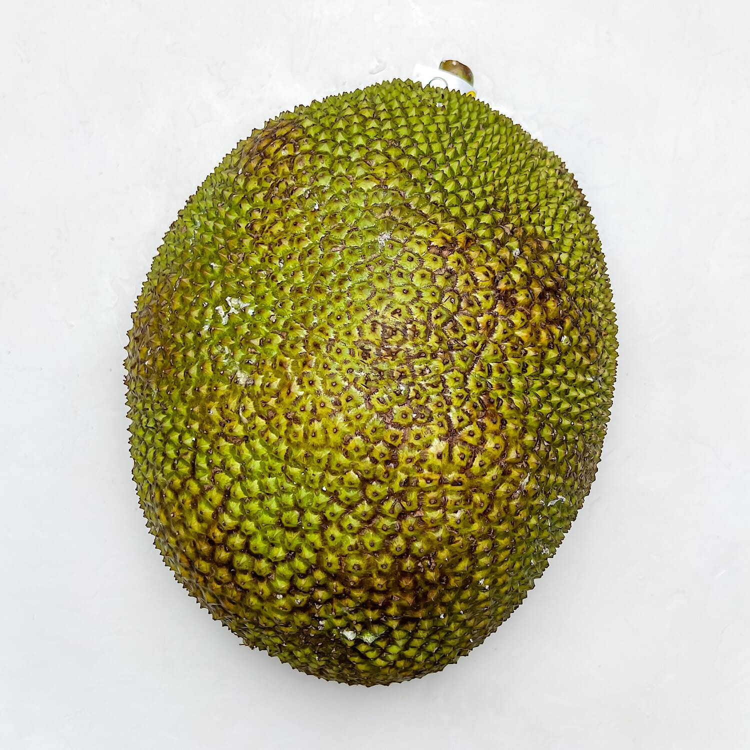 Chlebowiec