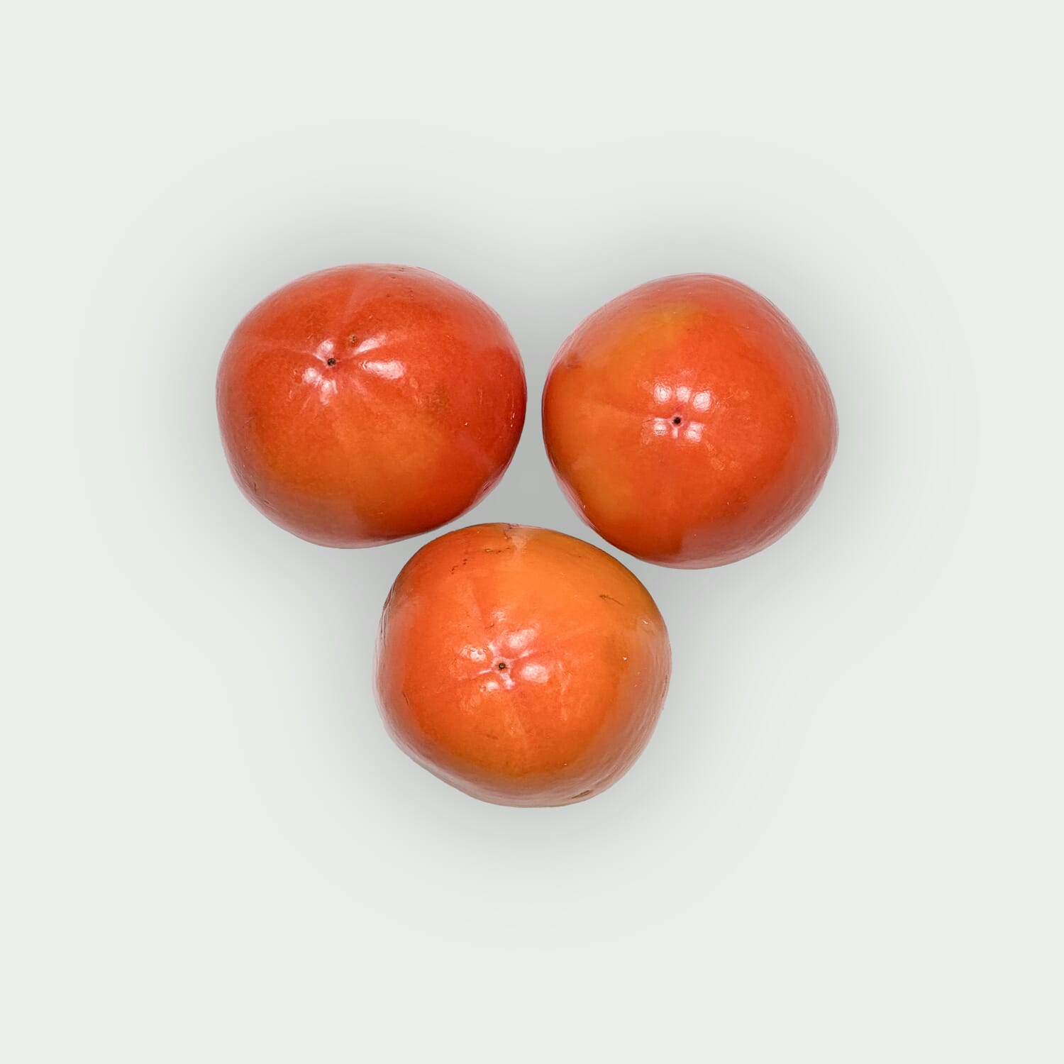 Kaki Rojo Brilliante