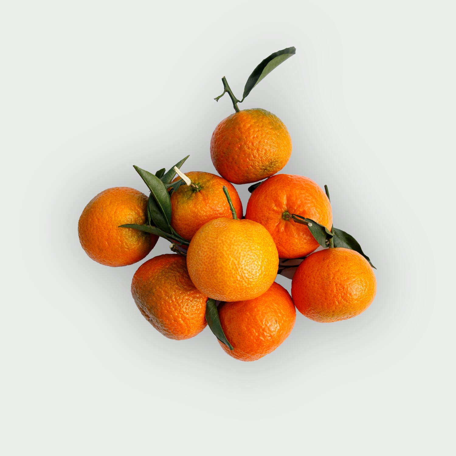 Klementynka