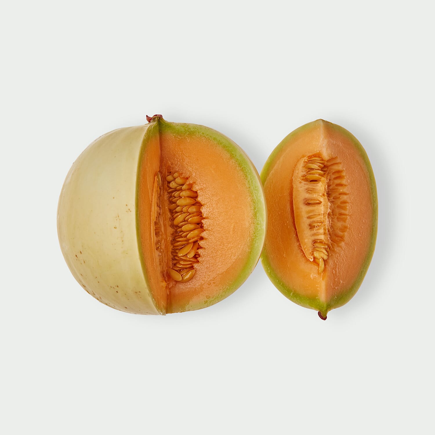 Melon Dolcir