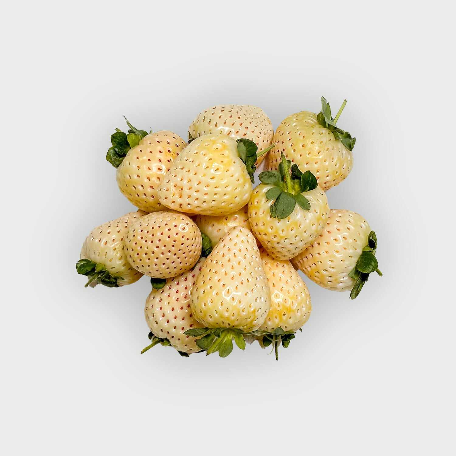 Truskawka ananasowa