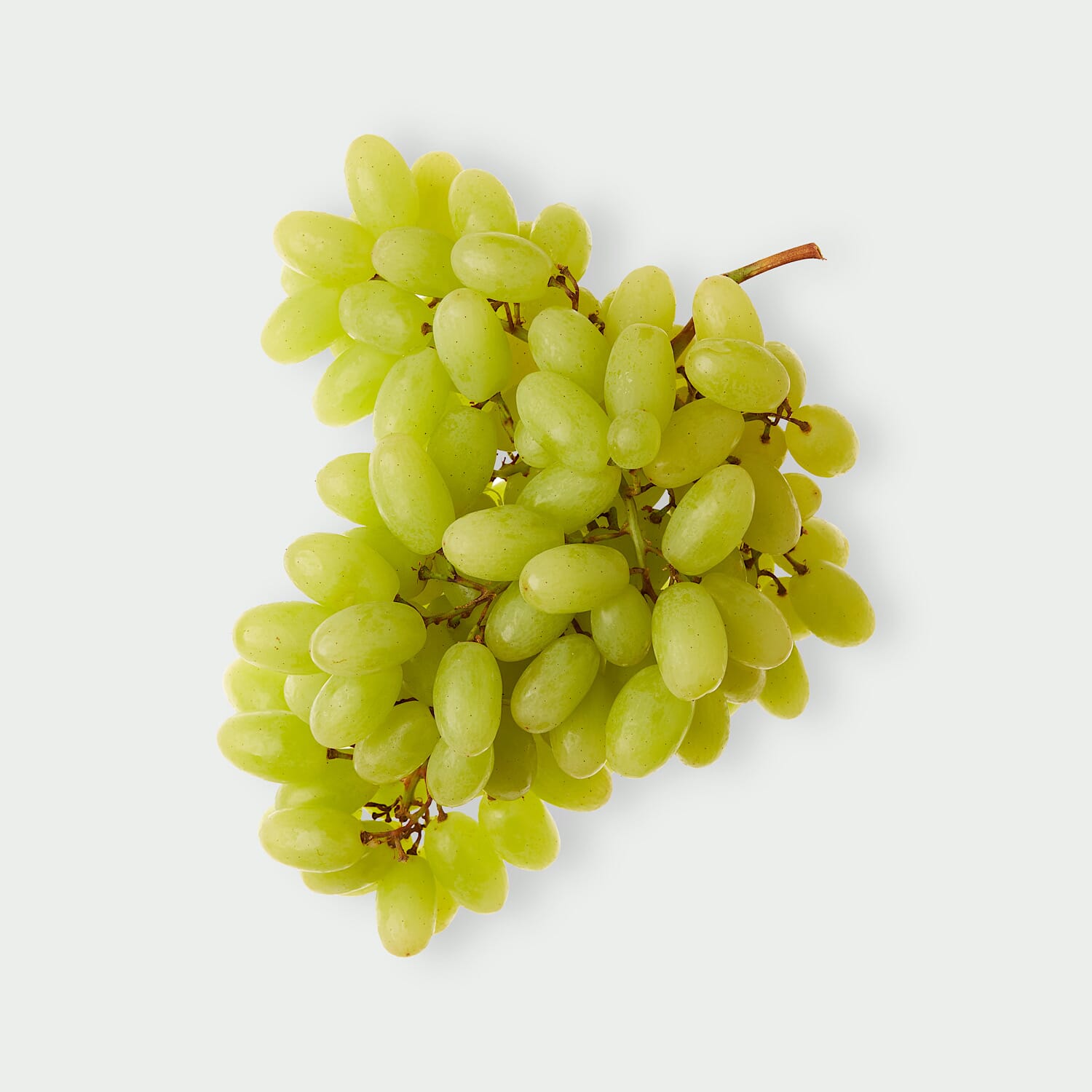 Winogronа Kiszmisz