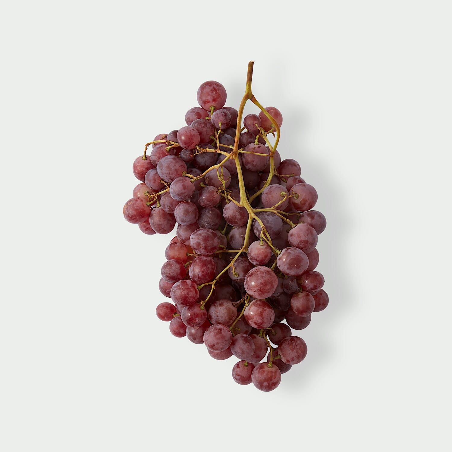 Winogronа Red Globe